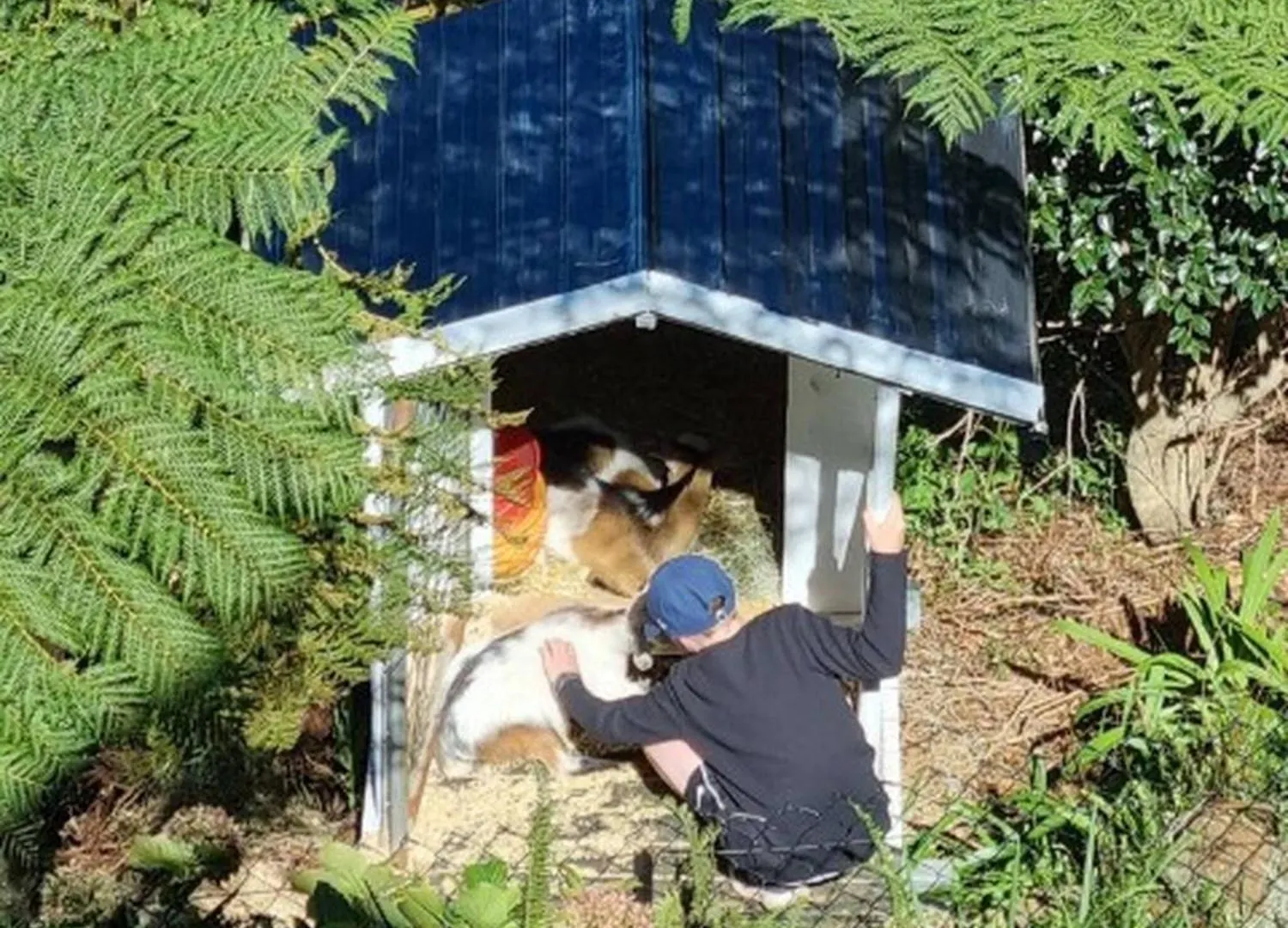 Belvedere Summer House Beechmont 0*,  Australia